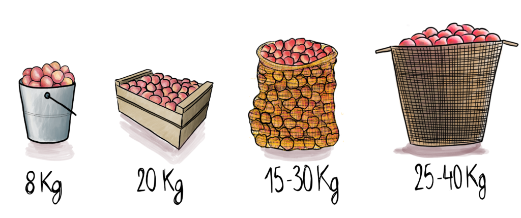 Estimer la quantité de pommes en fonction de vos contenants